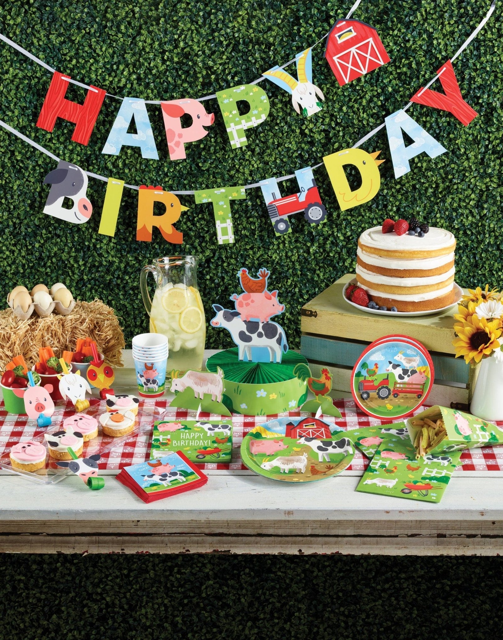 Barnyard Birthday Supplies - Stesha Party