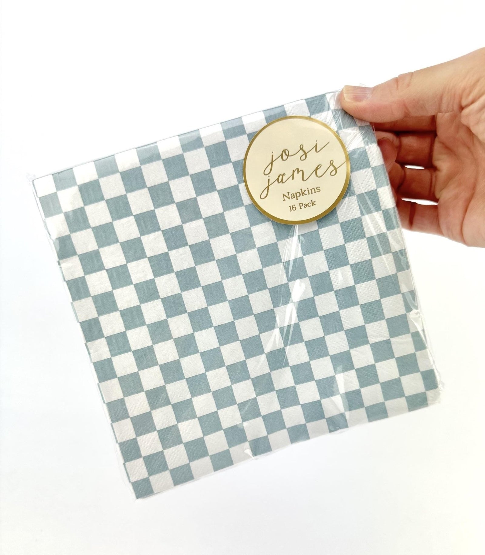 Blue Gingham Paper Napkins 16ct - Stesha Party