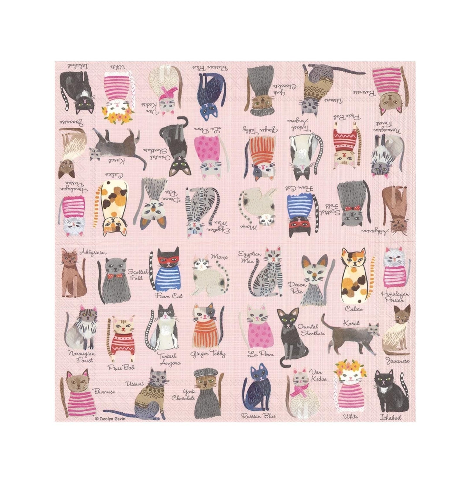 Cat Party Napkins - Stesha Party