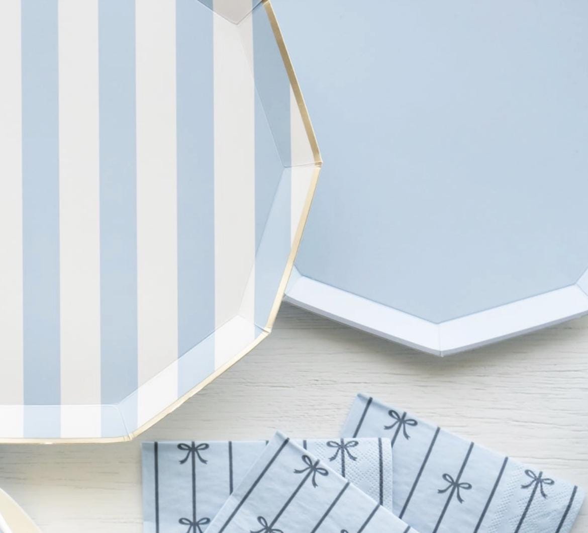 Elegant Blue Striped Party Plates - Stesha Party