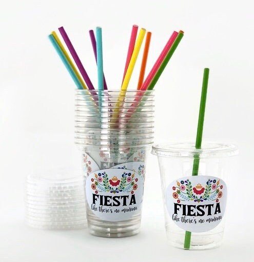 Floral Fiesta Plastic Cups 12ct - Stesha Party
