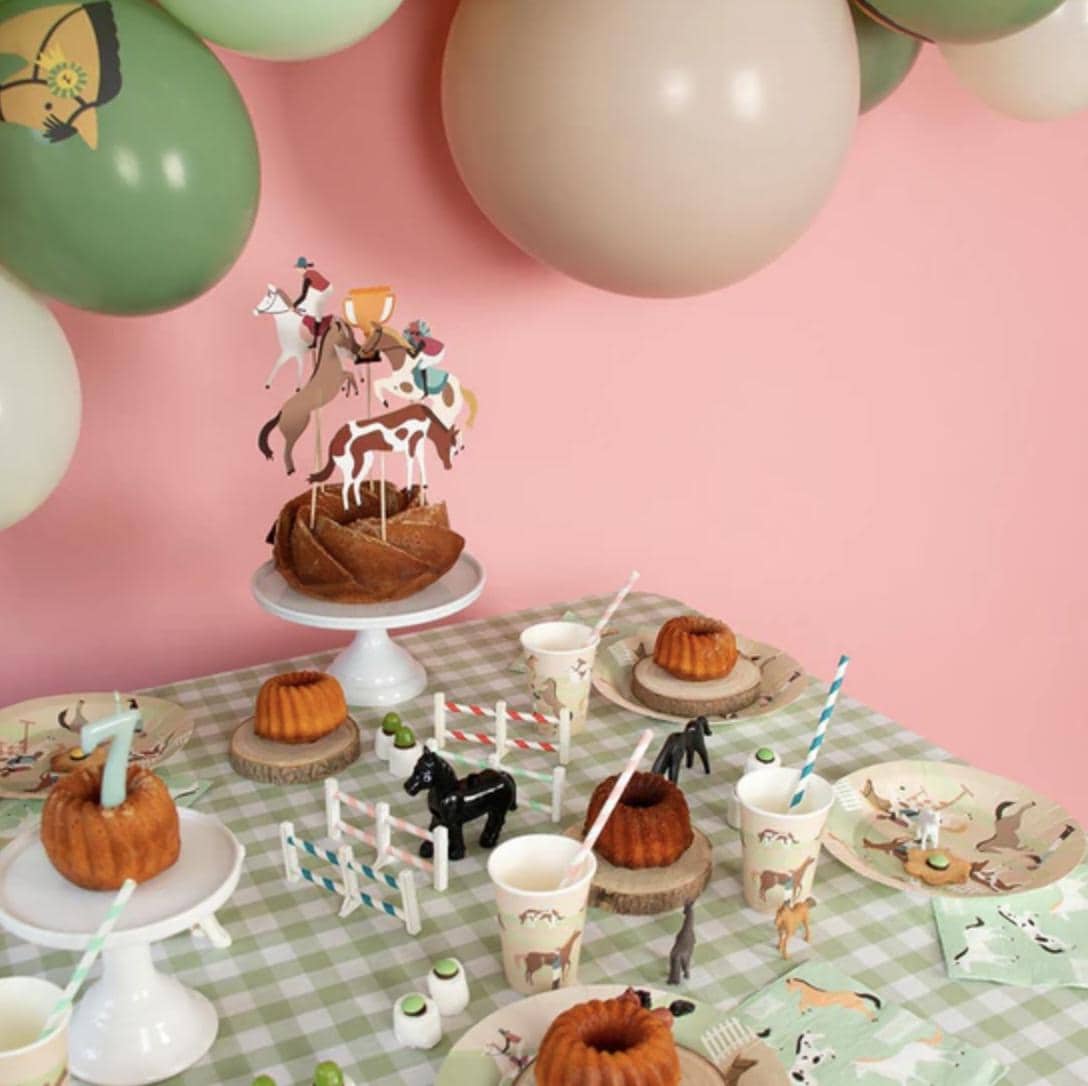 Horse Party Banner - Stesha Party