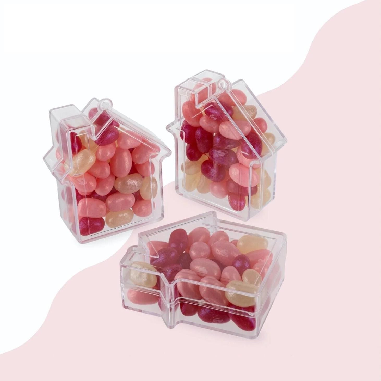 House Party Favor Boxes 12 Count - Stesha Party