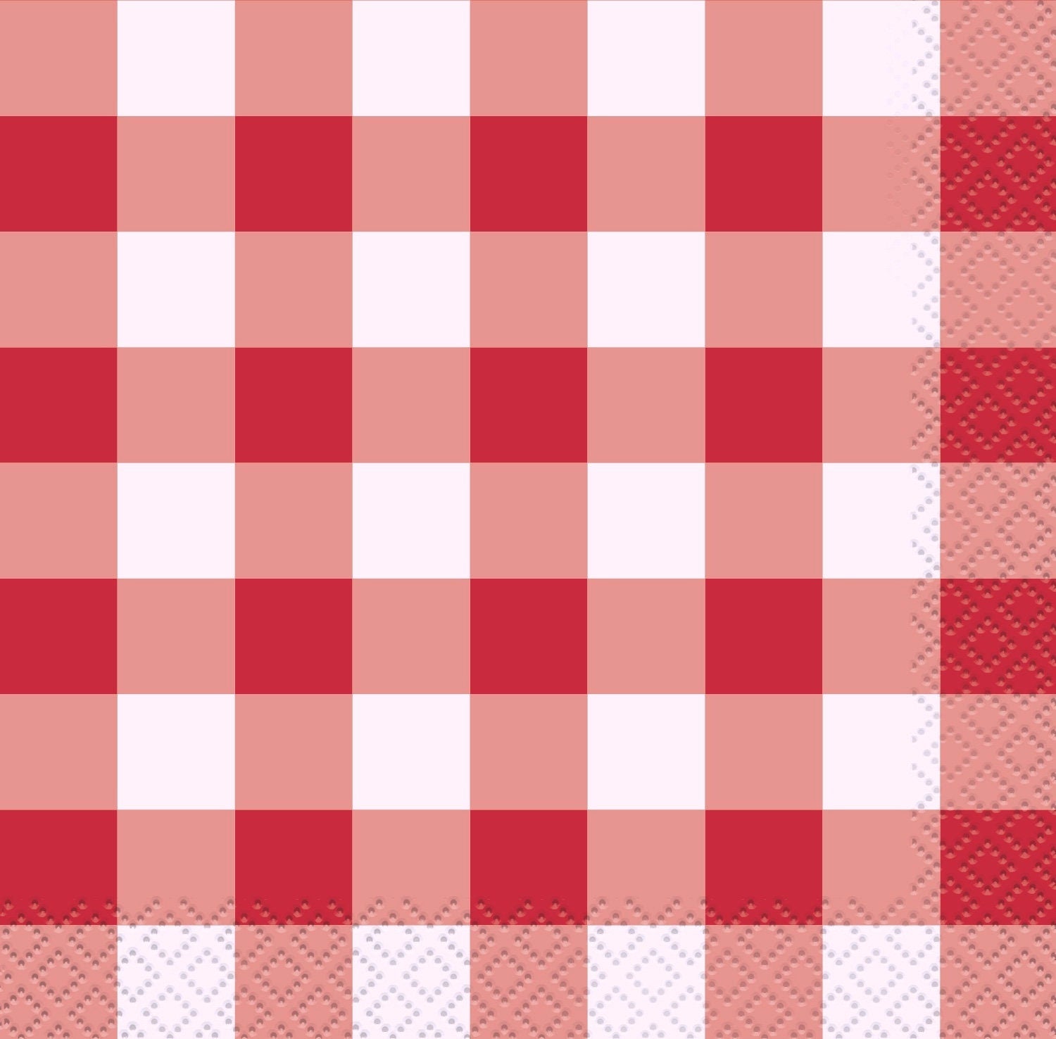 Red Gingham Paper Napkins - Stesha Party