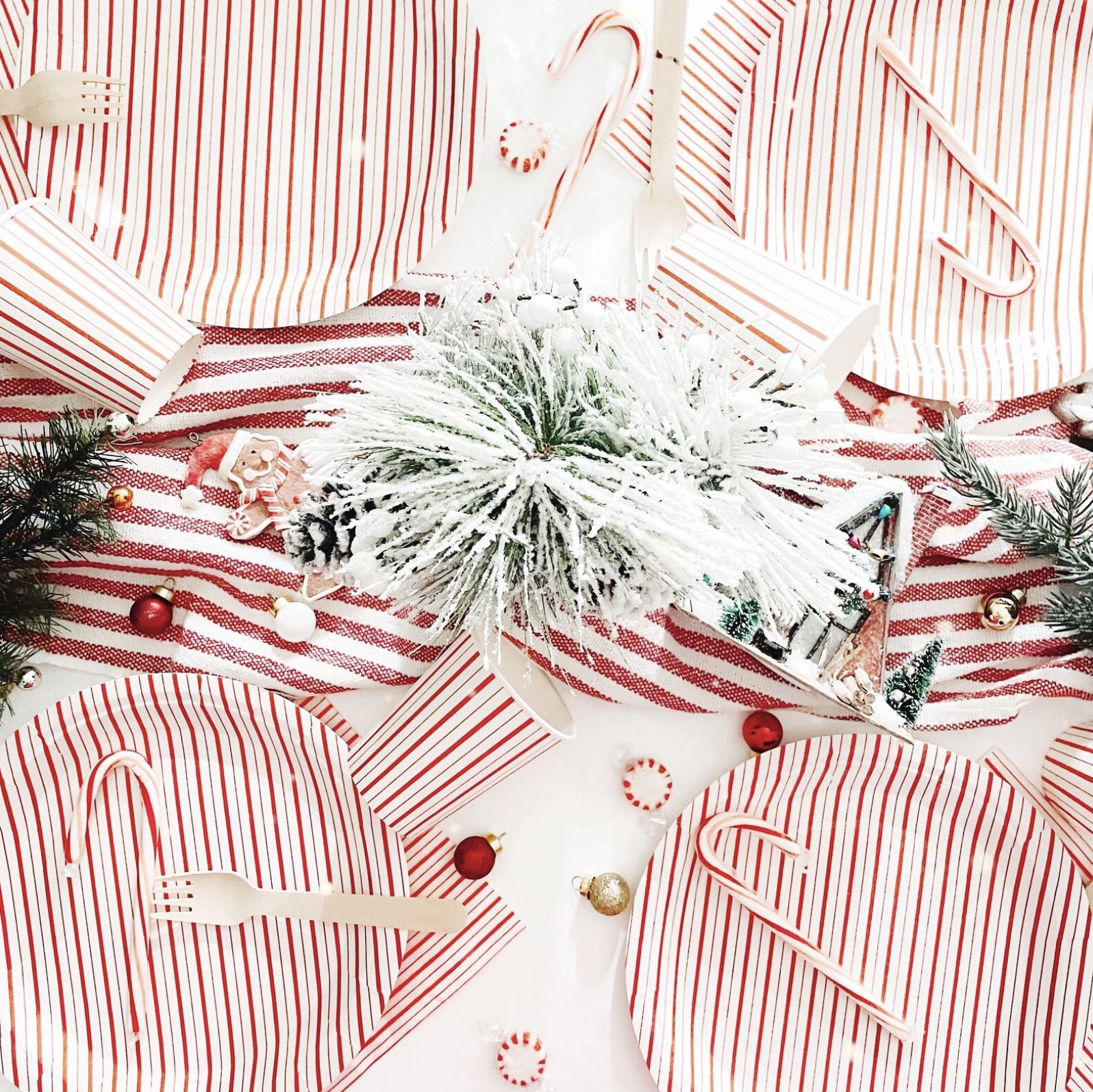 Red & White Striped Plates - Stesha Party