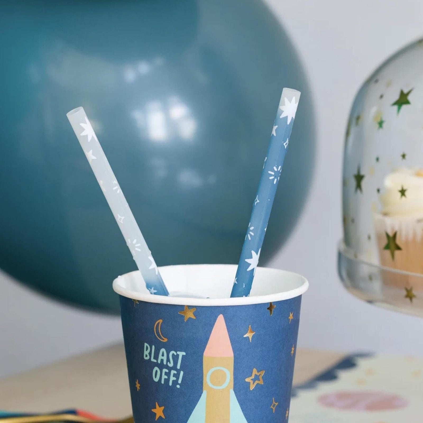 Reusable Space Straws - Stesha Party