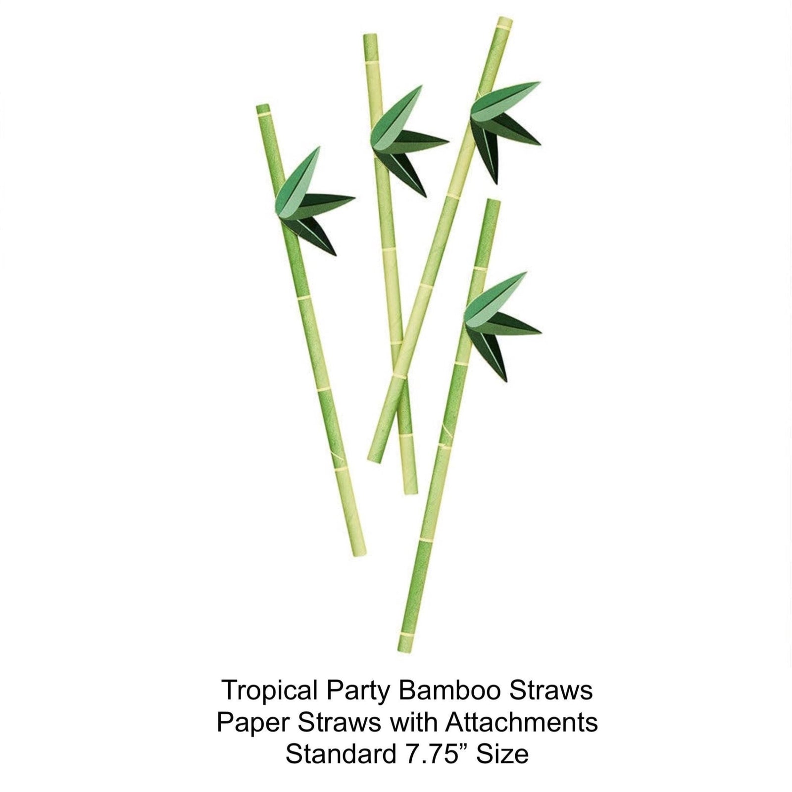 Tropical Bamboo Paper Straws 16 Pack - Stesha Party