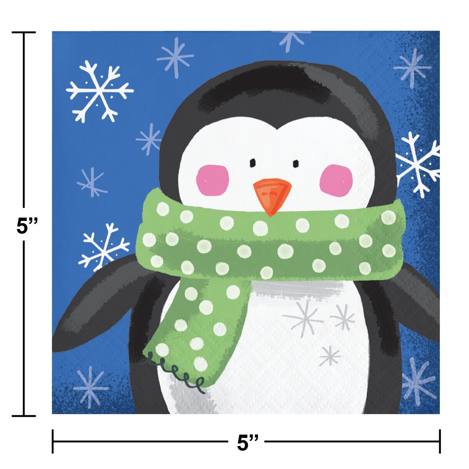 Winter Wonderland Santa Party Supplies Set - Stesha Party