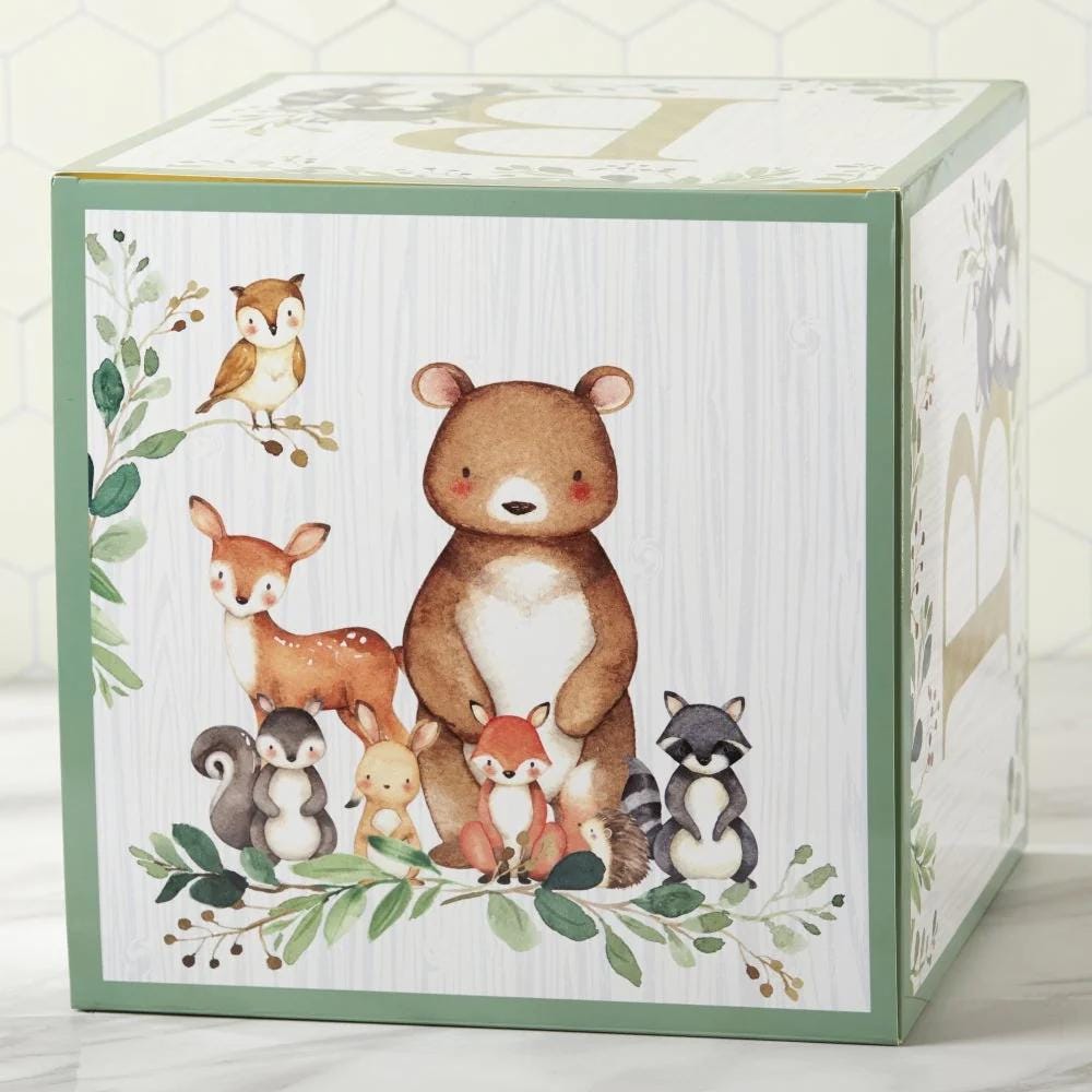 Woodland Baby Block Boxes 4ct - Stesha Party