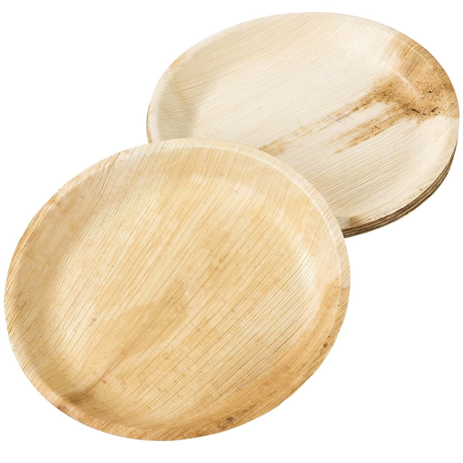 10" Tropical Palm Leaf Plates - Stesha Party