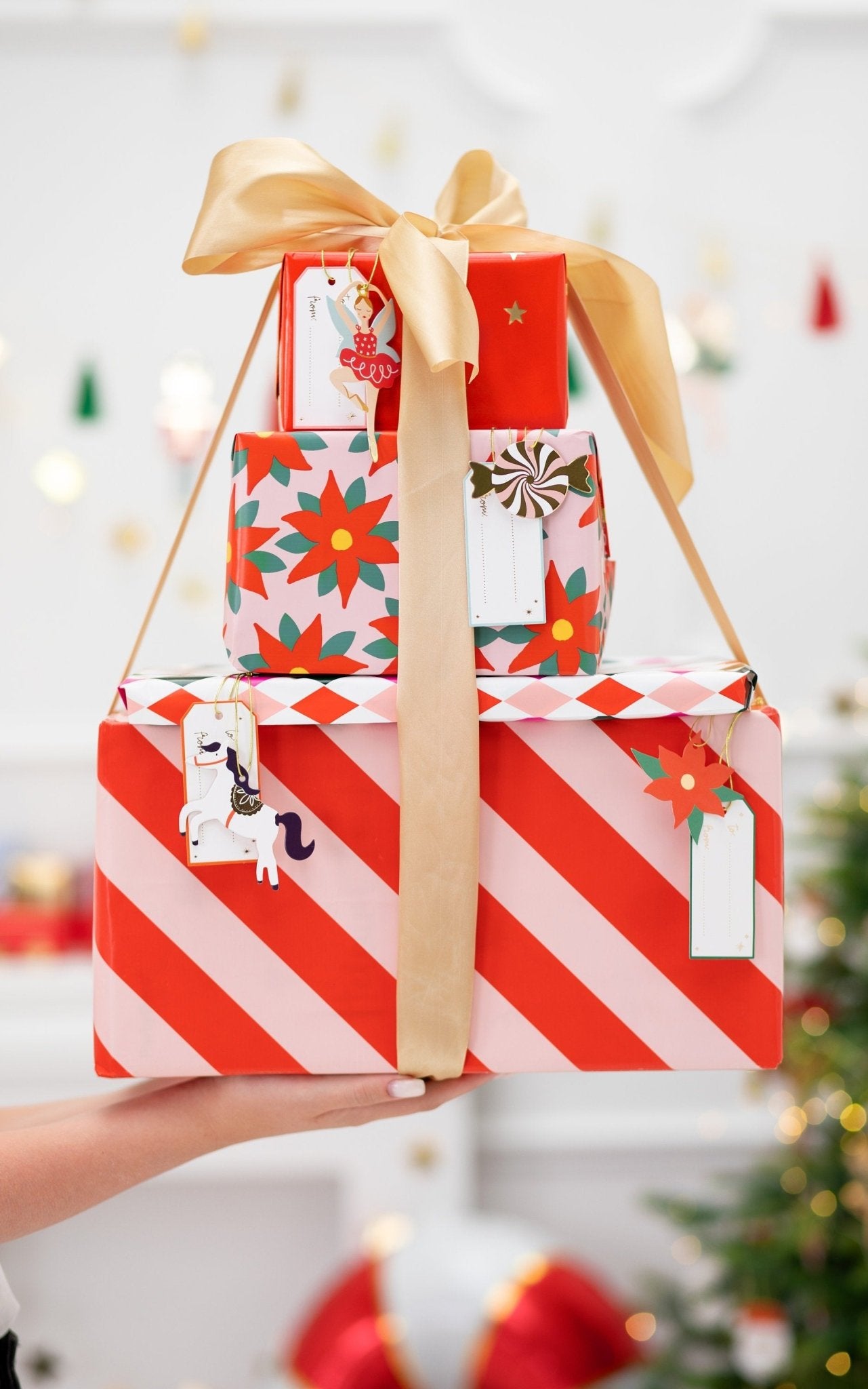 12 Santa & Christmas Car Gift Tags - Stesha Party
