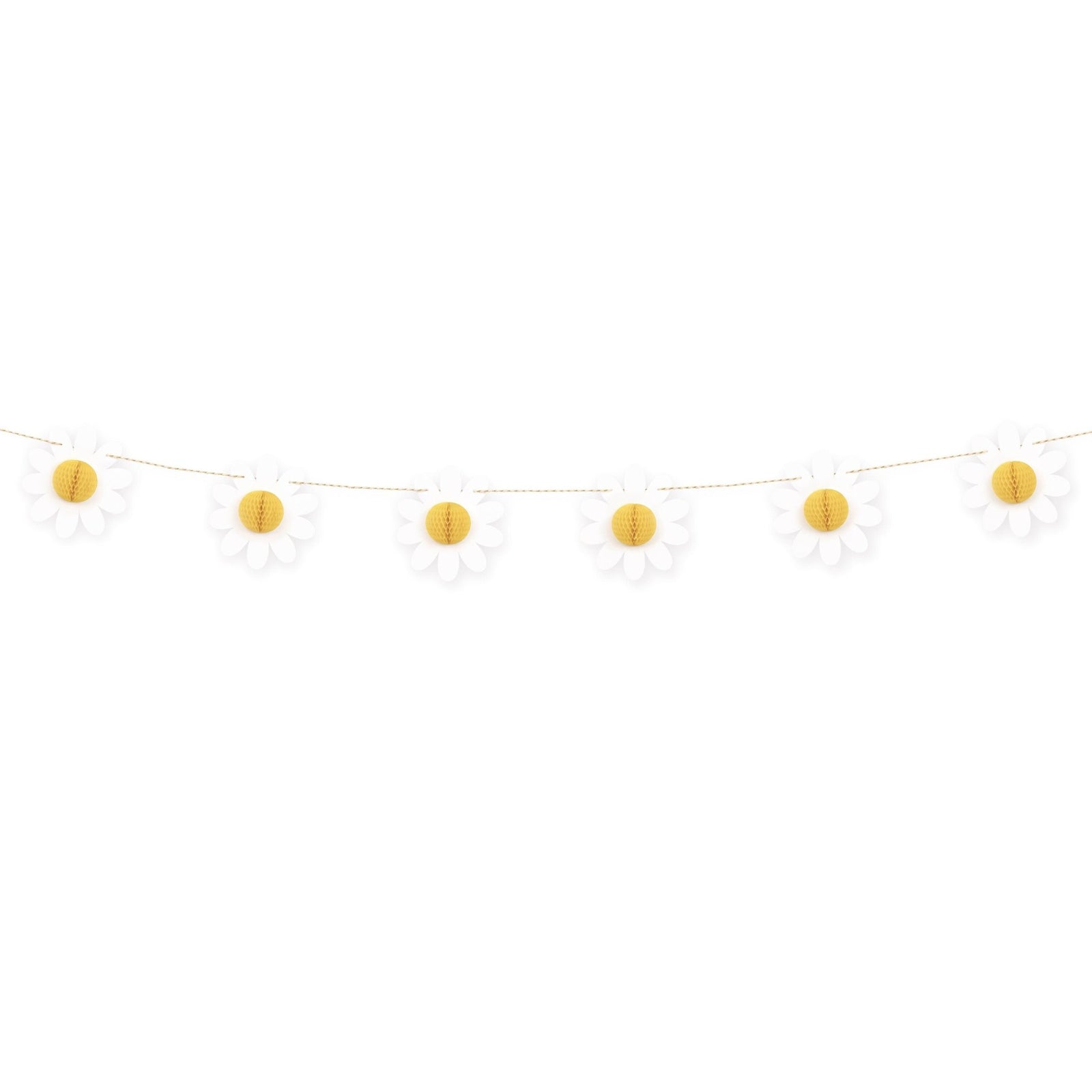 Daisy Party Banner - Stesha Party