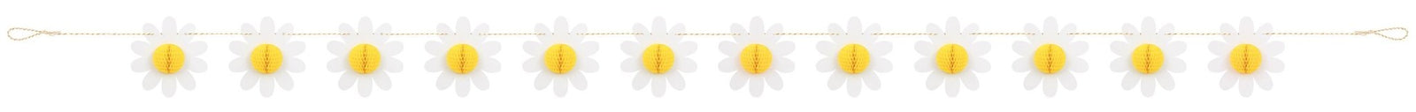 Daisy Party Banner - Stesha Party