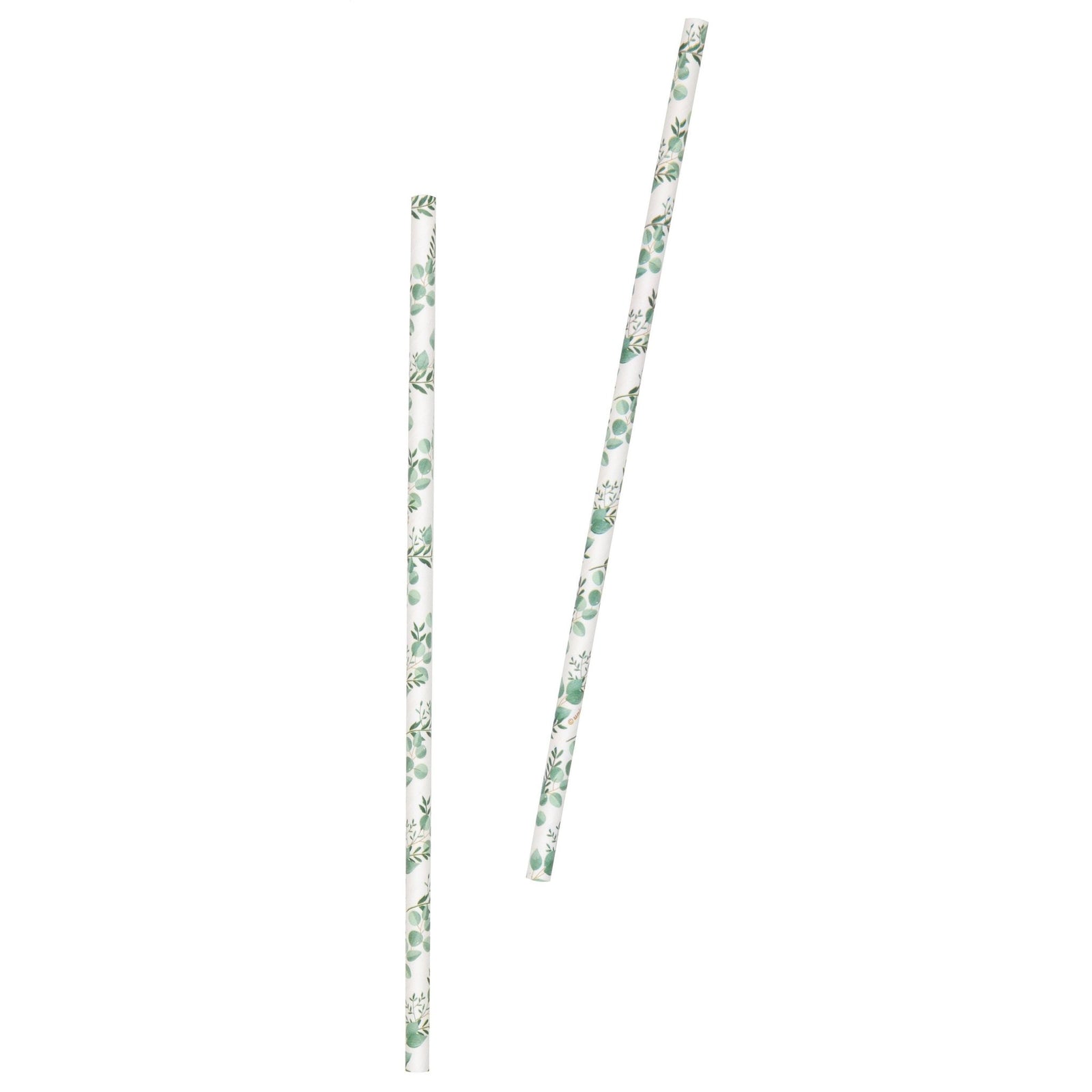 Eucalyptus Party Straws - Stesha Party