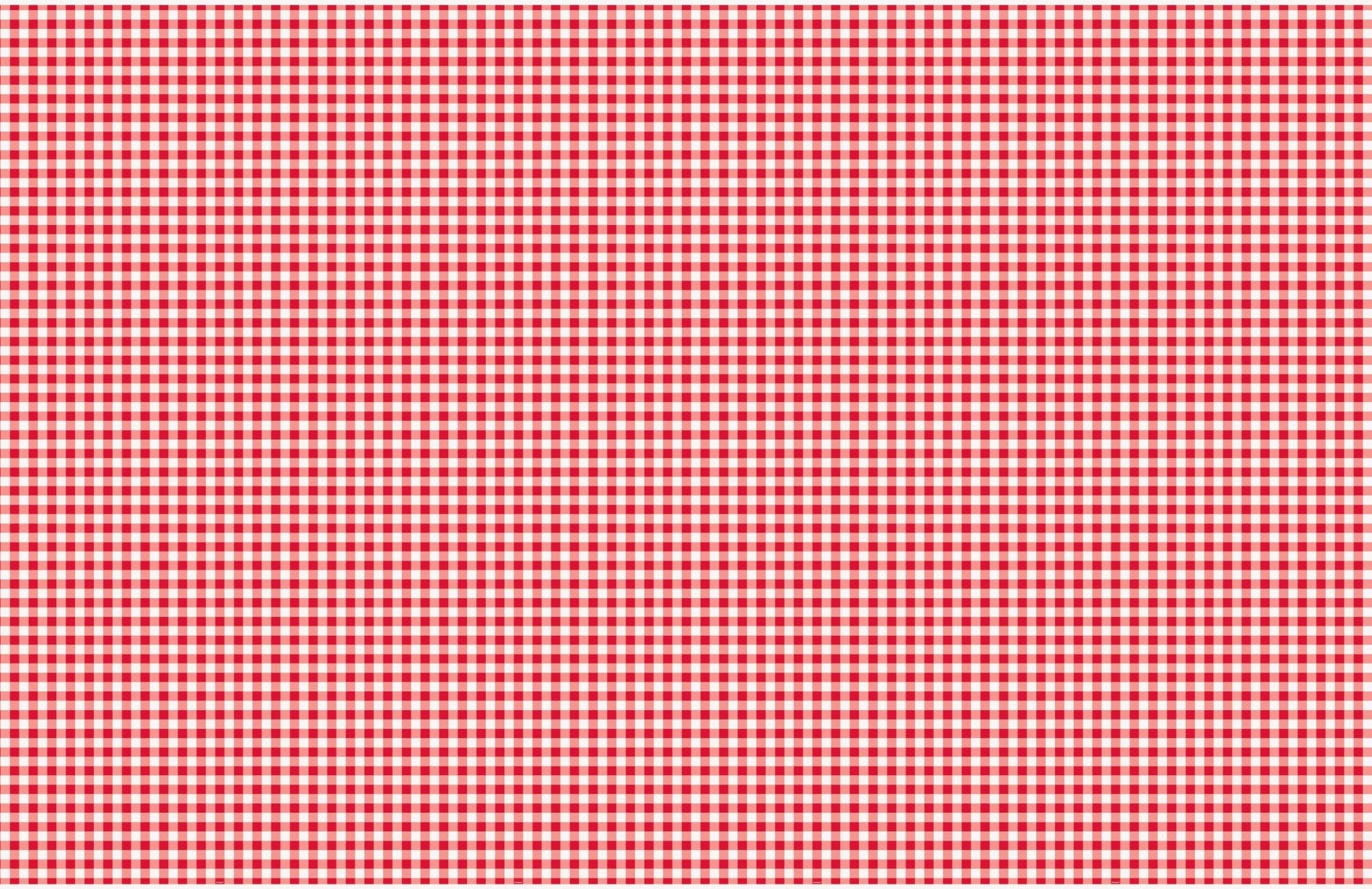 Red Gingham Plastic Tablecloth - Stesha Party