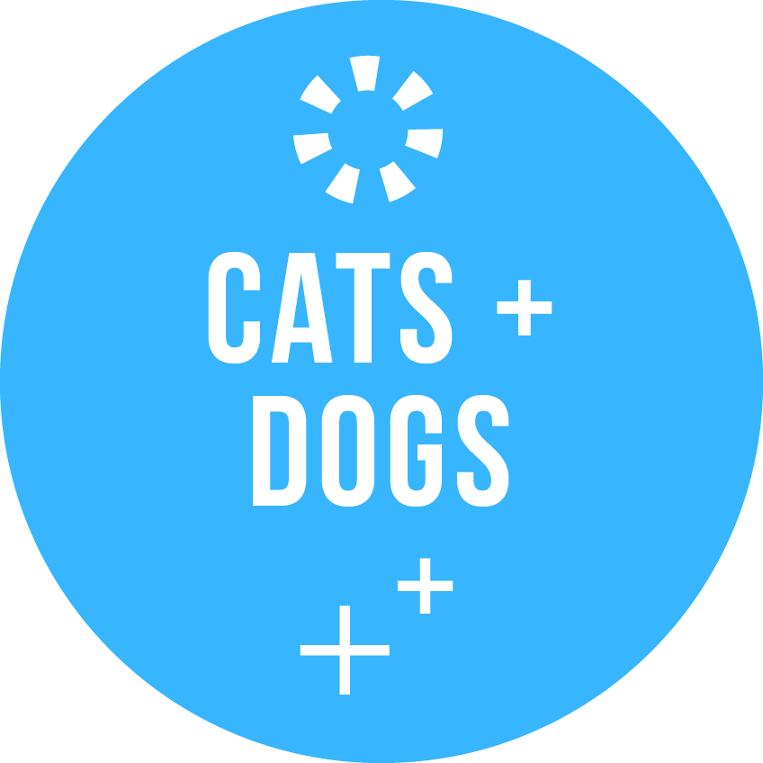 Cats + Dogs