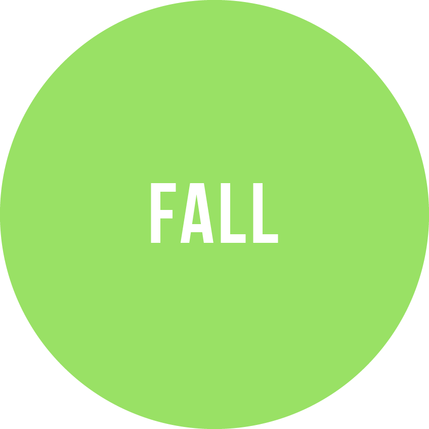 Fall