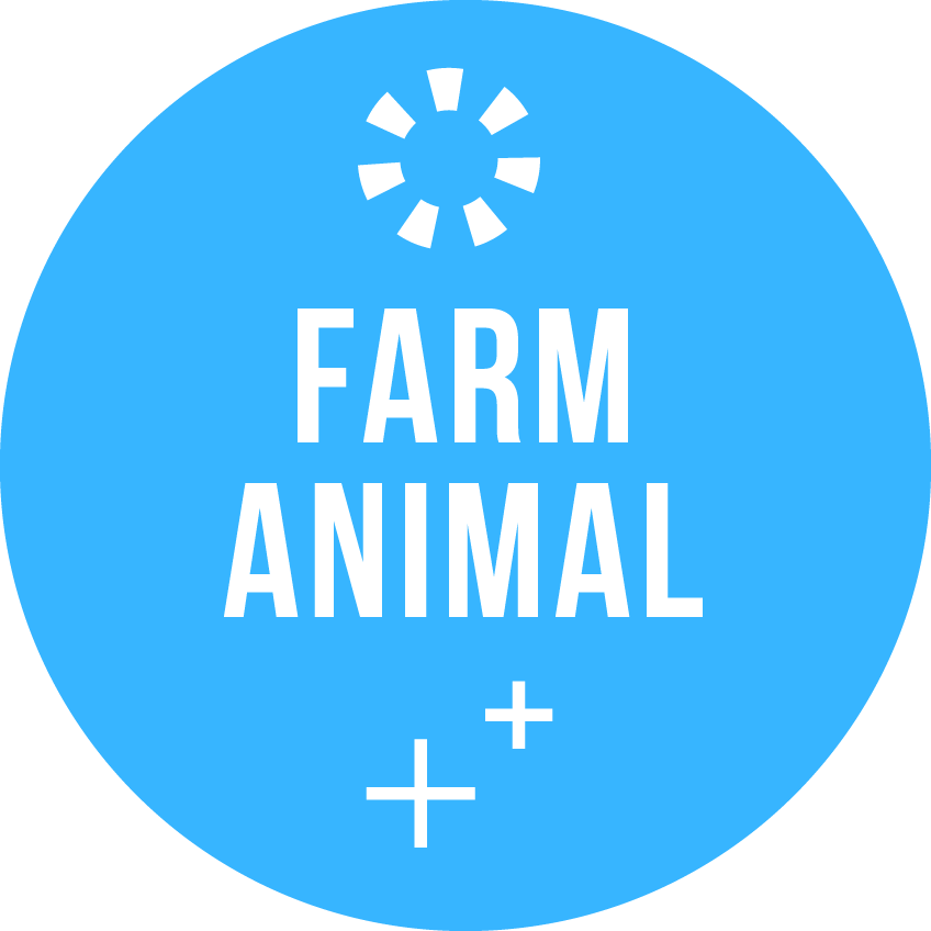 Farm Animal