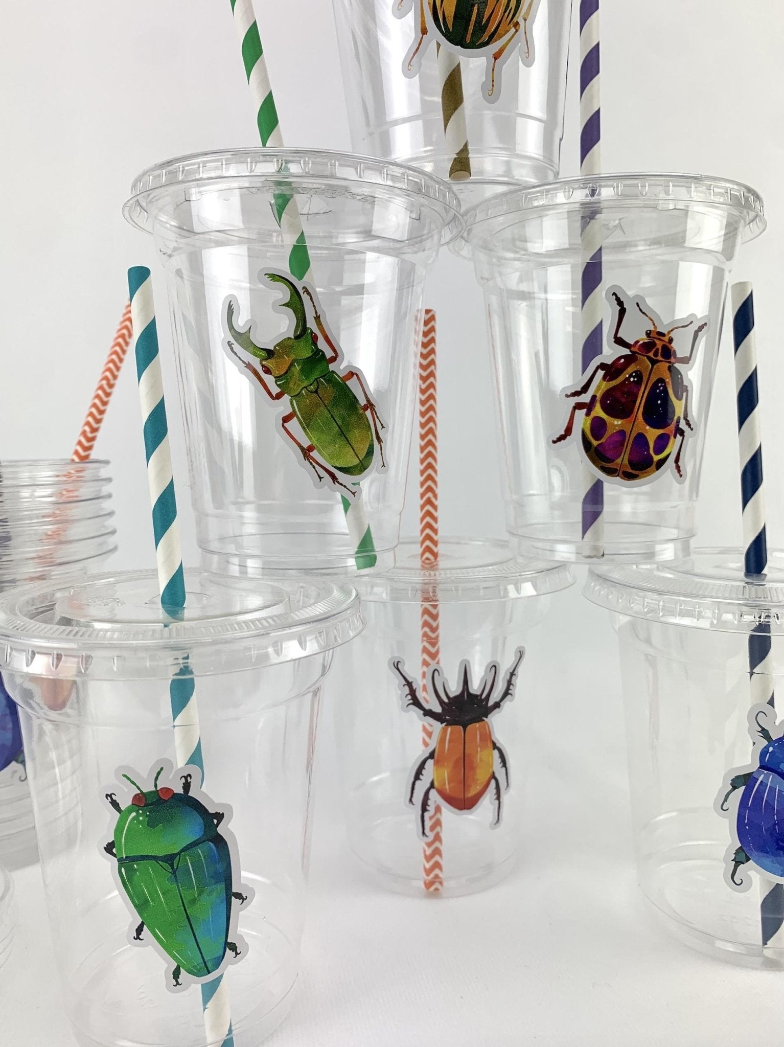 Beetle Party Cups - Stesha Party