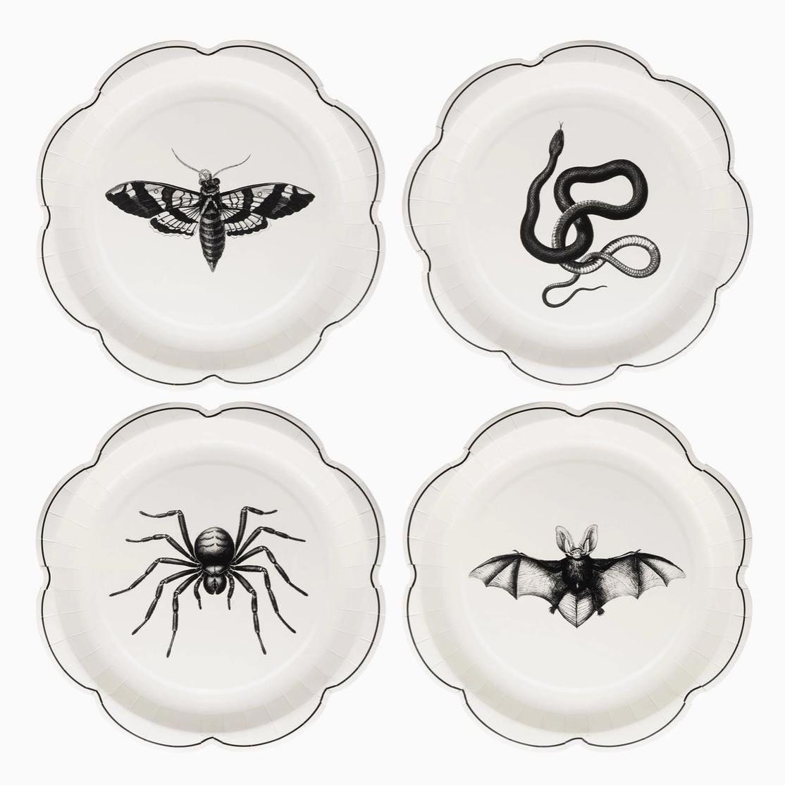 Black &amp; White Halloween Paper Plates - Stesha Party