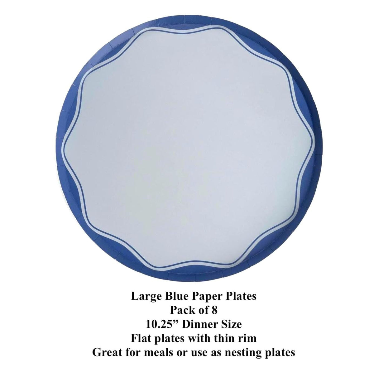 Blue Party Plates - Stesha Party