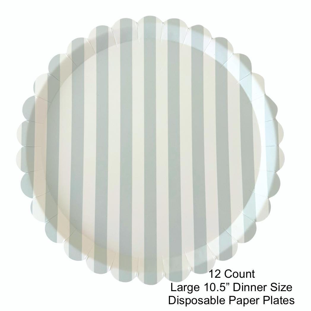 Blue Stripe Plates 12ct - Stesha Party