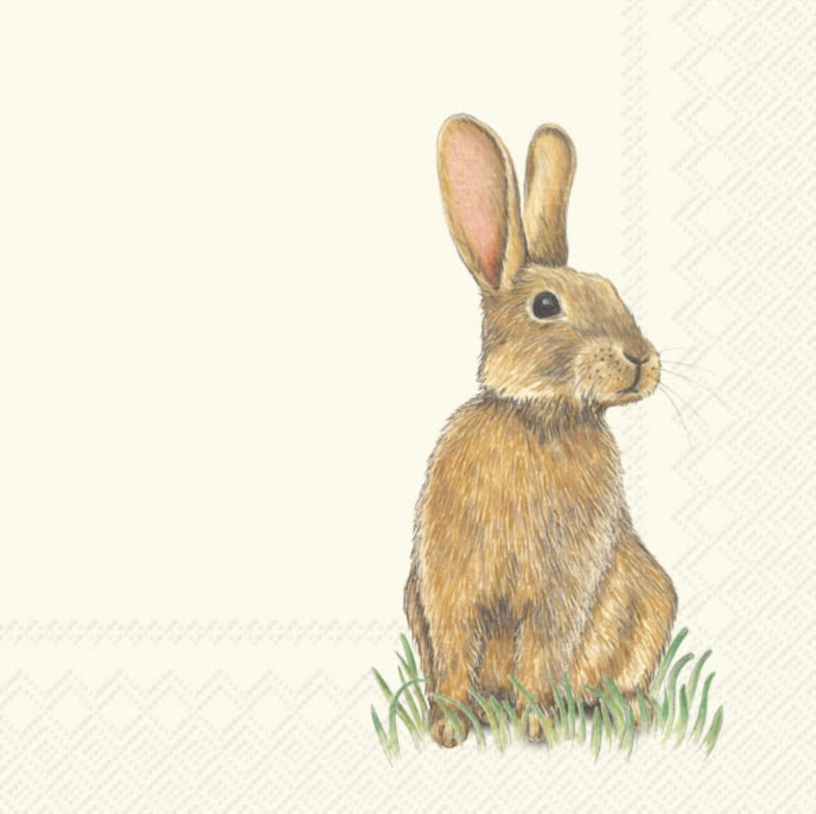Brown Bunny Paper Beverage Napkins 20ct