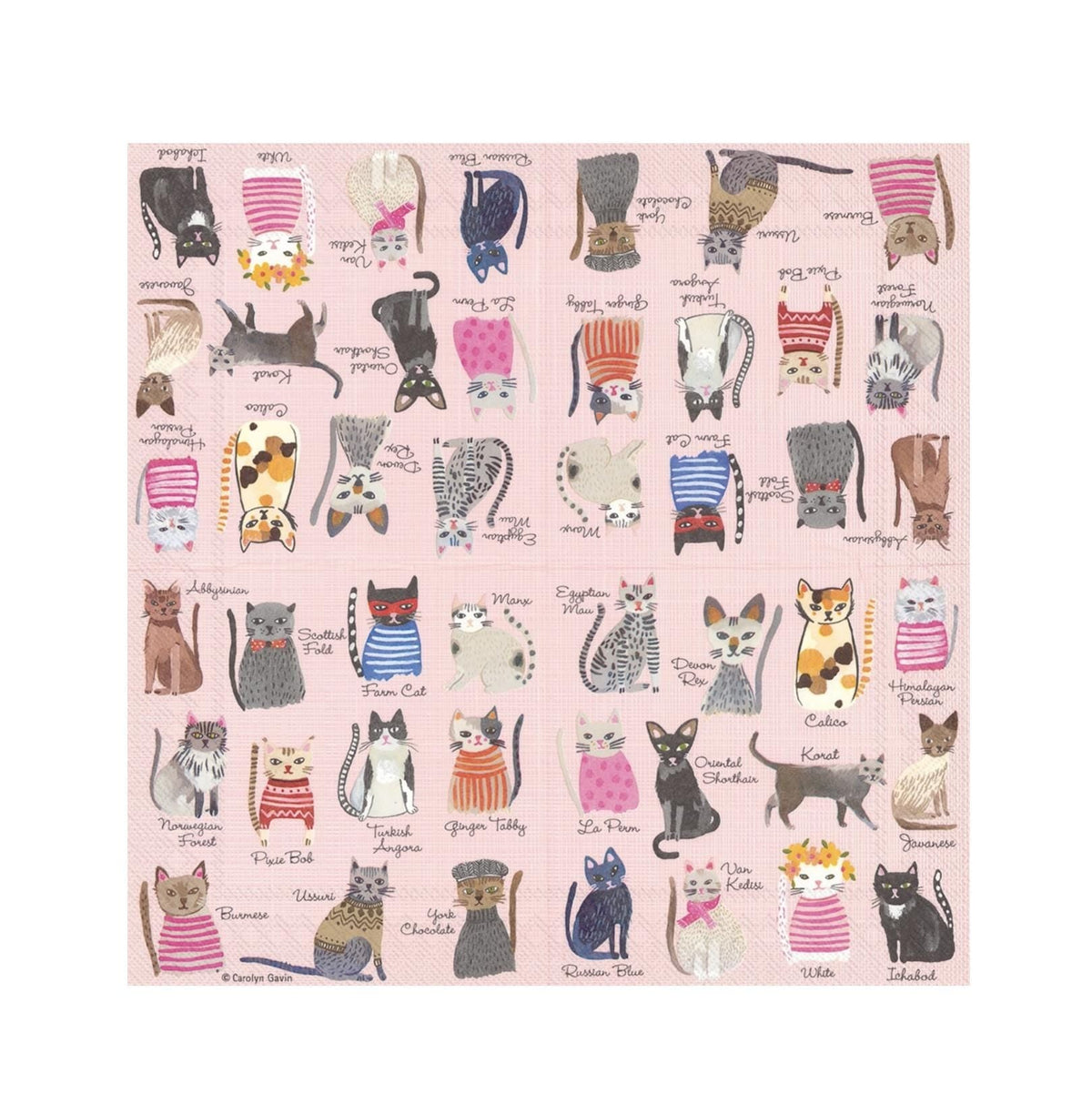 Cat Party Napkins - Stesha Party