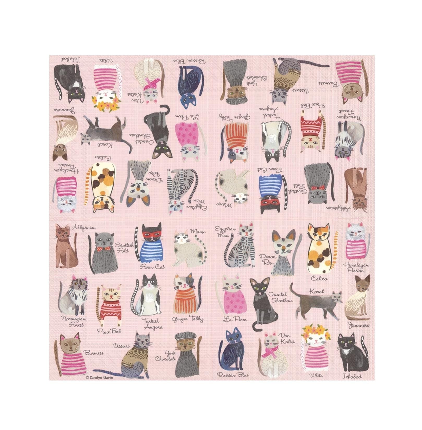 Cat Party Napkins - Stesha Party