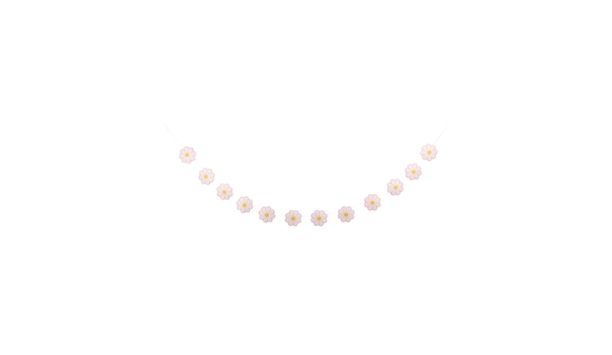 Daisy Disco Birthday Banners - Stesha Party