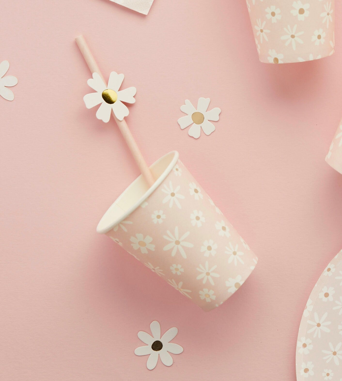 Daisy Party Straws - Stesha Party