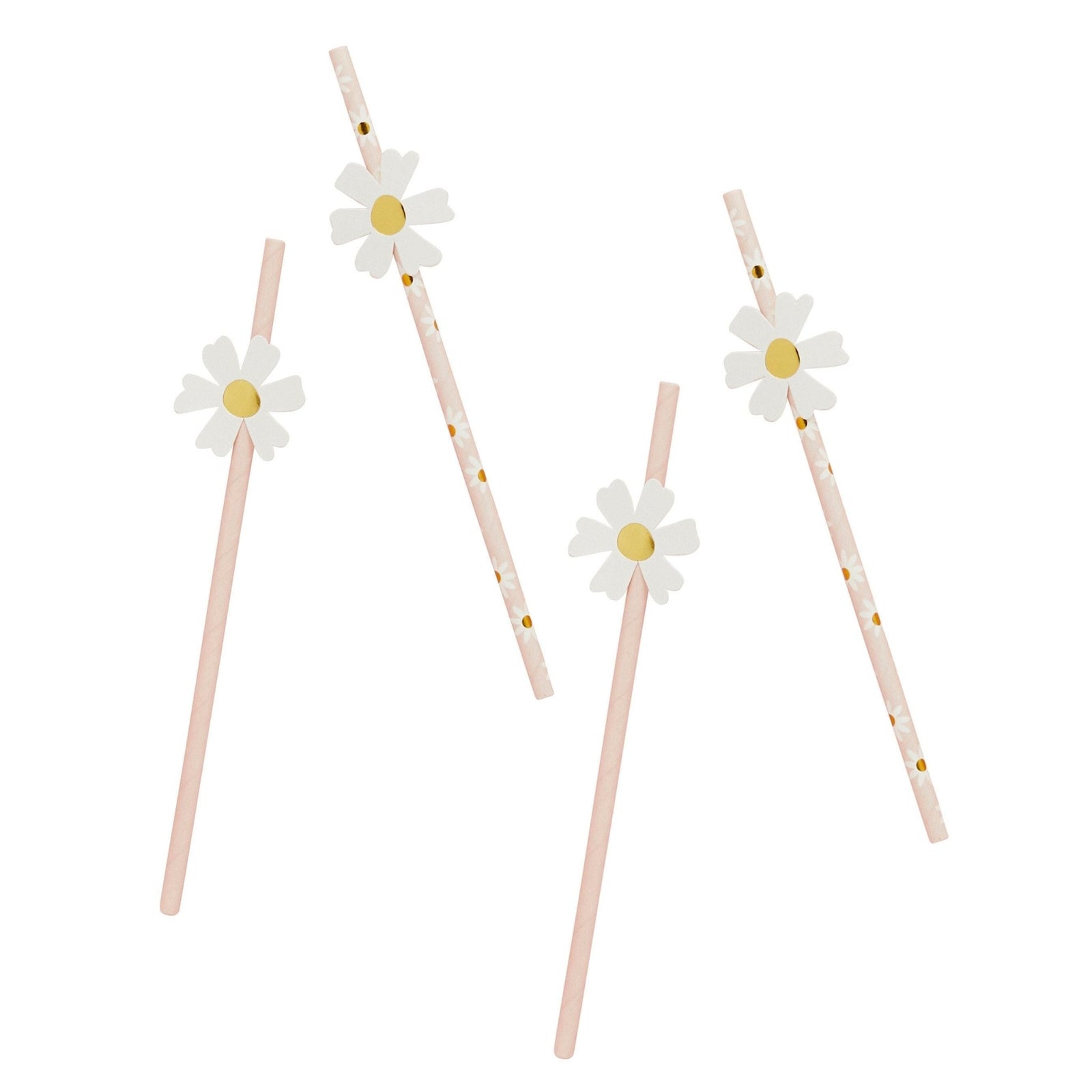 Daisy Party Straws - Stesha Party