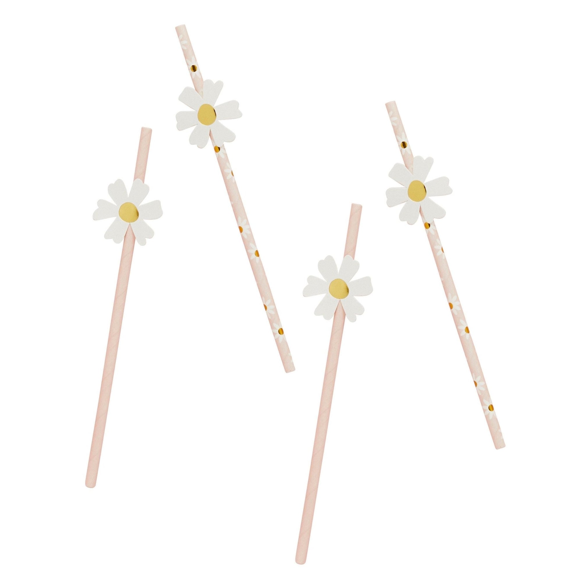 Daisy Party Straws - Stesha Party
