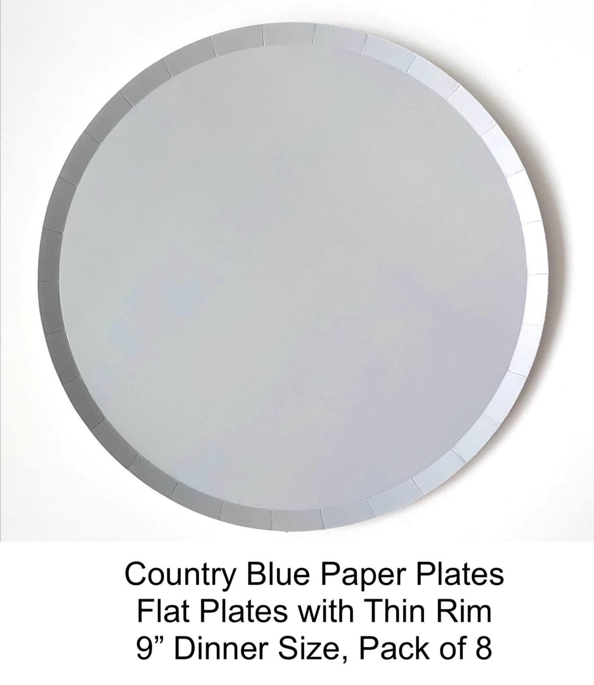 Dusty Blue 9" Dinner Plates 8ct - Stesha Party