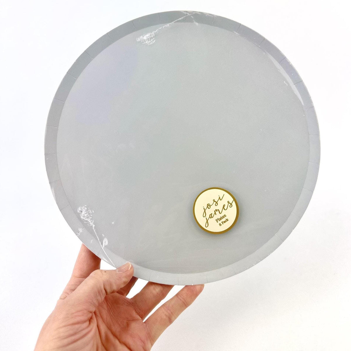 Dusty Blue 9" Dinner Plates 8ct - Stesha Party