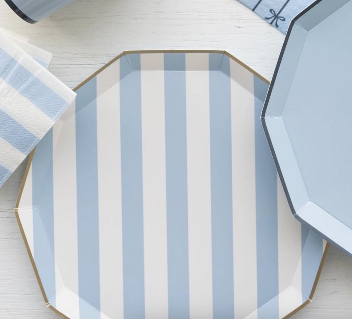 Elegant Blue Striped Party Plates - Stesha Party