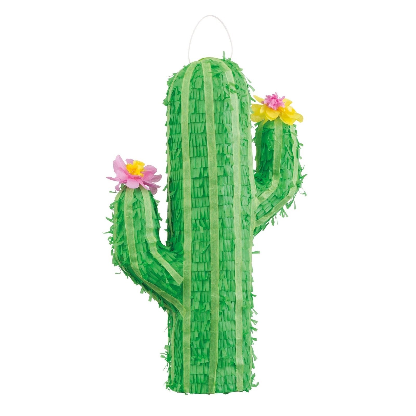 Floral Cactus Party Piñata - Stesha Party