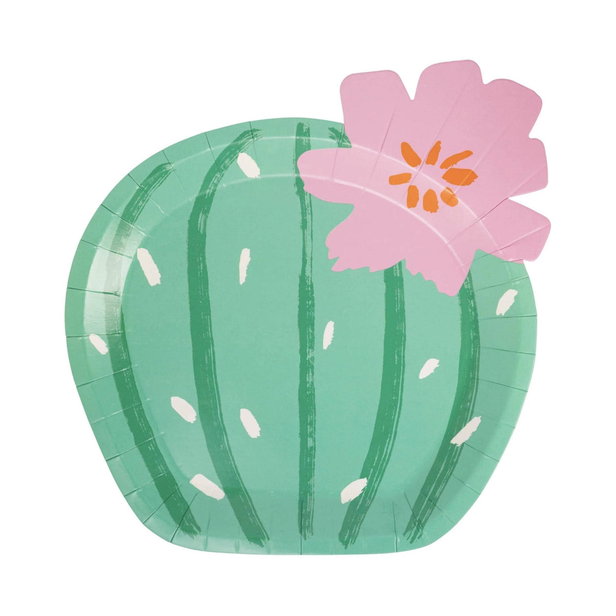 Floral Cactus Plates - Stesha Party