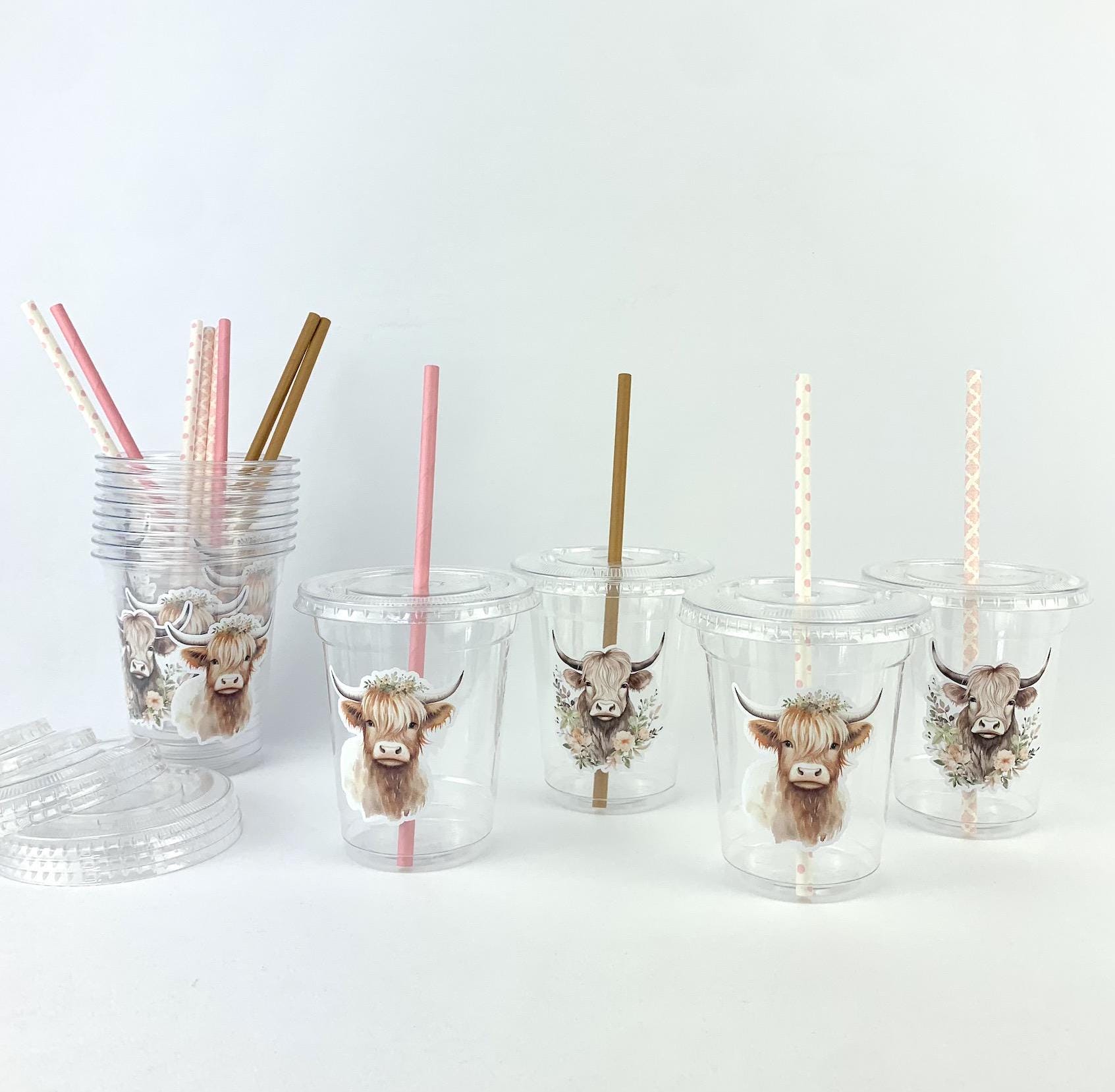 Floral Highland Cow Cups - Stesha Party