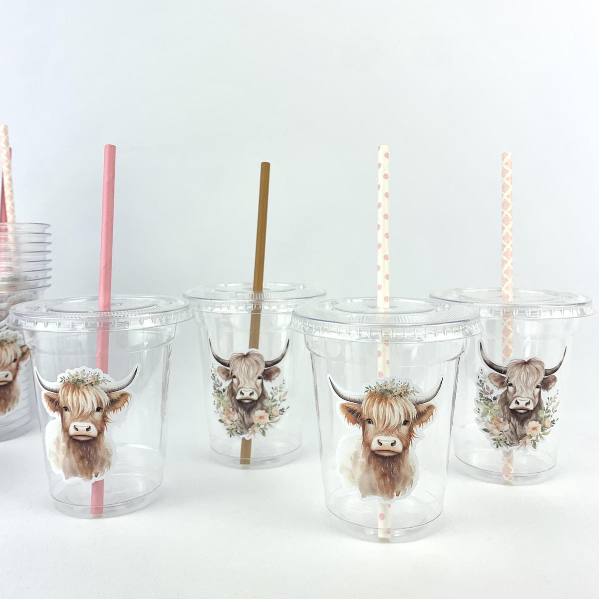 Floral Highland Cow Cups - Stesha Party
