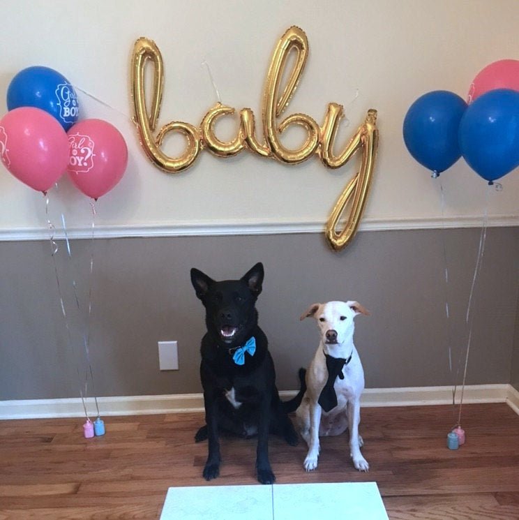 Gold "Baby" Balloon - Stesha Party