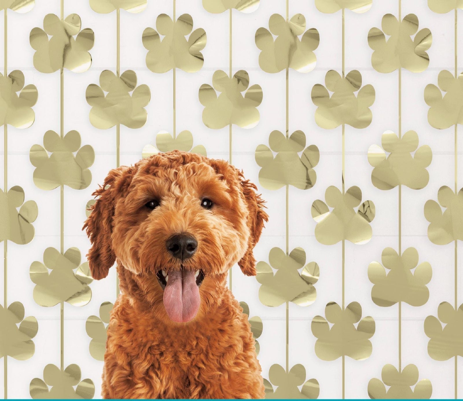 Gold Foil Paw Print Backdrop - Stesha Party