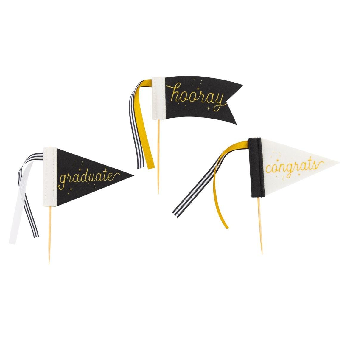 Graduation Mini Felt Flag Set - Stesha Party