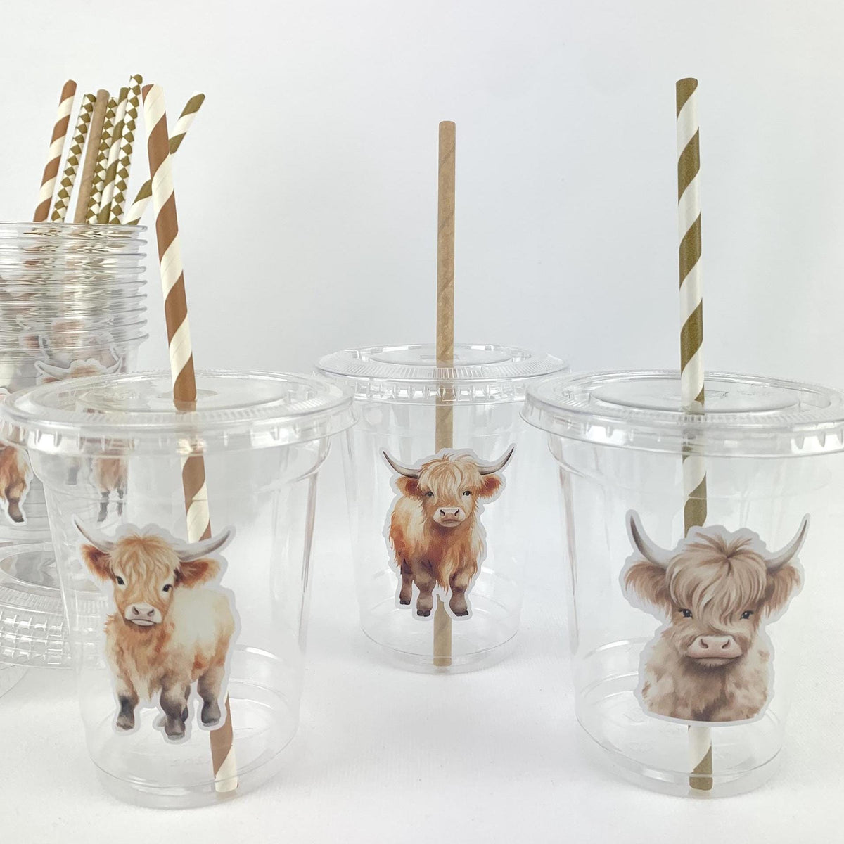 Highland Cow Party Cups - Stesha Party