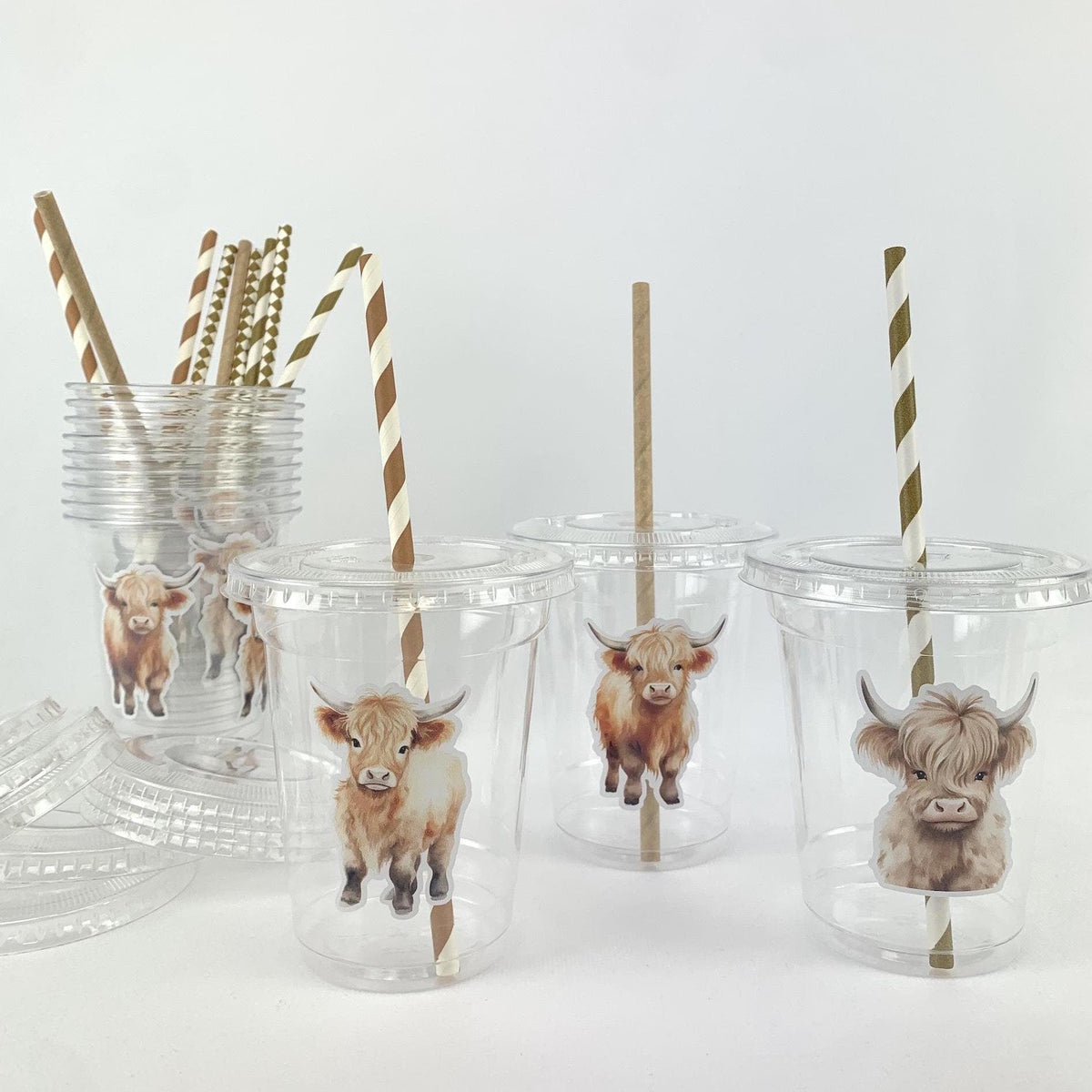 Highland Cow Party Cups - Stesha Party