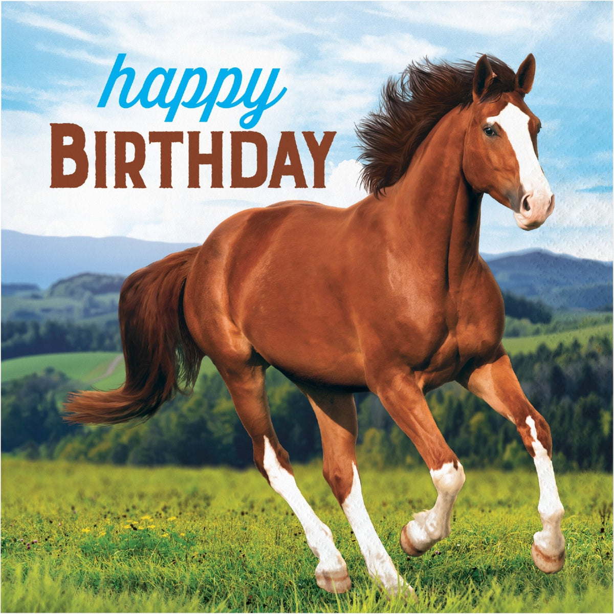 Horse Birthday Napkins 16ct - Stesha Party