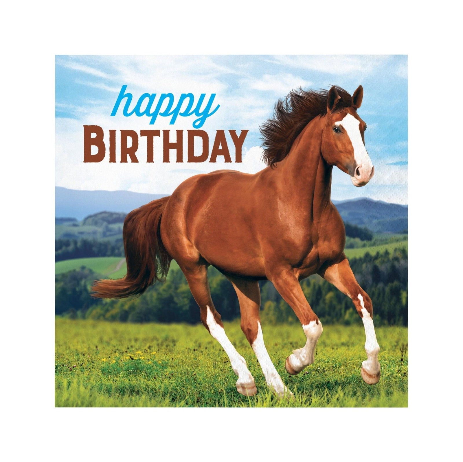 Horse Birthday Napkins 16ct - Stesha Party