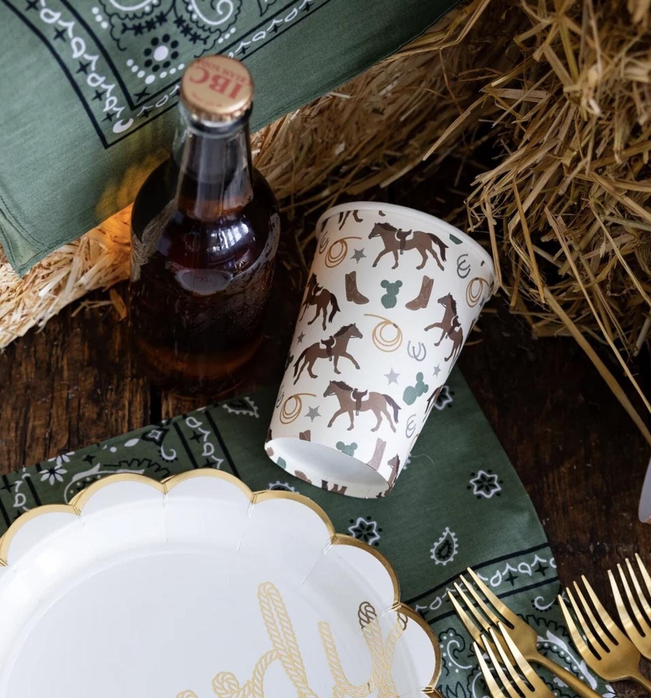 Howdy Party Cups - Stesha Party