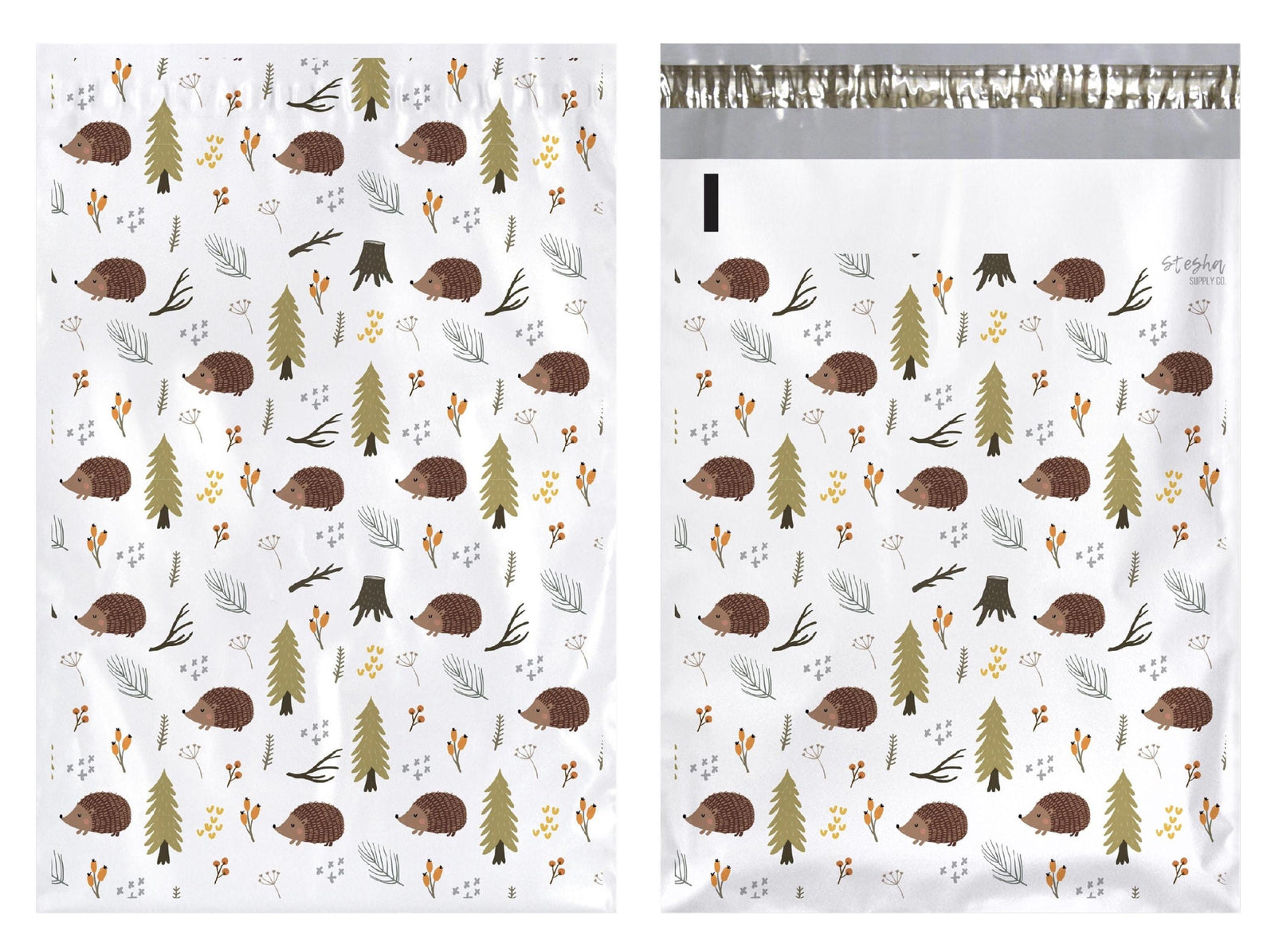 Front and back of hedgehog poly mailer showing adhesive strip