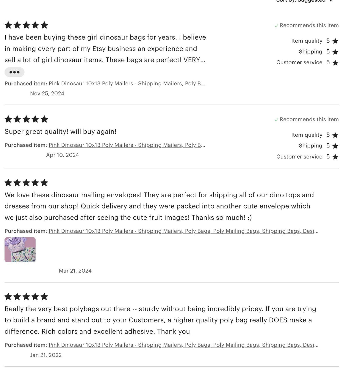 Five-star customer reviews of pink dinosaur poly mailers